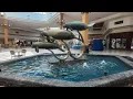 A Visit to Port Charlotte Town Center FL