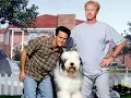 The Shaggy Dog (1994) whole movie
