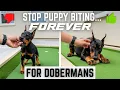 Stop Doberman Puppy Biting NOW Proven Breed-Specific Technique