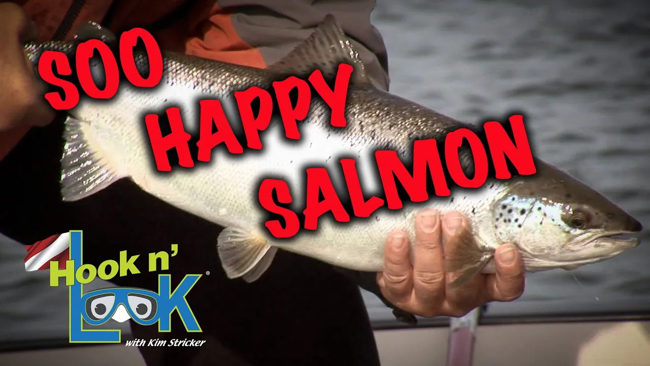 Soo Happy Salmon - FULL EPISODE
