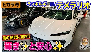 【Eカラ号】ランボルギーニ テメラリオ 「普段使いに向けてプロテクションフィルム施工！」 E-CarLife with 五味やすたか