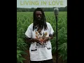 I-wayne - Living in Love [Soul Remix]