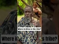 Download Lagu where in Africa is this tribe found, can you guess? #africa #viral #viralvideo #nature #wildlife