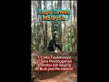 Download Lagu Lagu Slow Malaysia 90an – Nostalgia \u0026 Kenangan Manis