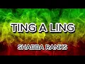 TING A LING - SHABBA RANKS -  KARAOKE