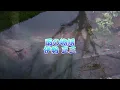 雨の物語　伊勢 正三　Amenomonogatari Ise Shozo
