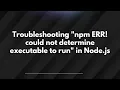 Troubleshooting npm ERR could not determine executable to run in Node js