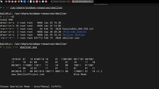 Mastering AV Evasion with Shellter Advanced Red Teaming Tactics Antivirus Malware Evasion