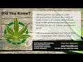 CBD Oil Drug Test Reddit What is CBD