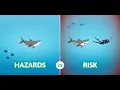 Hazard vs Risk What s the Difference