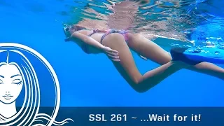SSL 261 ~  …Wait for it!  (Extended Vimeo Version)