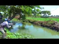 Download Lagu MORO SENENG!! Tempat markas lokalisasi nya sarang ikan,, Bikin jiwaku meronta-ronta mancing disini