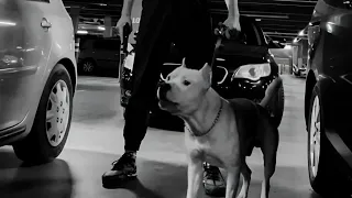 ركب السماعات وابدأ التمرين Rompasso Angetenar Original Mix  ركب السماعات وابدأ التمرين Rompasso Angetenar Original Mix