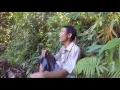 Download Lagu Arriving | Real-Life Tarzan (1/11)
