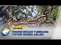 Download Lagu Hujan Deras dan Angin Kencang Sebabkan Pohon Besar Tumbang di Tangsel - [Top News]