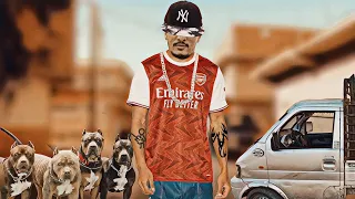 قوتشيلا السارق المحترف   دندنها