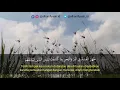 Download Lagu Murottal Surah Ar Rum, ayat 41 - Syaikh Misyari Rasyid