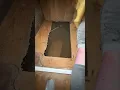 Download Lagu The floor opened up and fell through with me standing on it! #diy #fixerupper #ouch