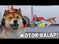 Download Lagu OBIT IKUT BALAPAN MOTOR KEREN! - Real Drag Bike Racing