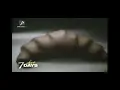 Download Lagu 7days Choco Reclama Chipita 2005
