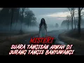 Download Lagu Cerita Angker di BANYUWANGI !!! KISAH MISTIS suara tangisan arwah di jalur TENGKORAK JURANG TANGIS 