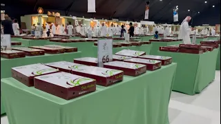 راهنمای جشنواره خرمای الظفره ۲۰۲۵ 