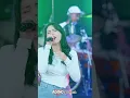 Lagu SHORTS Sasya Arkhisna ft Ageng Music - Pelampiasan