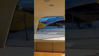 My FAVORITE Cat That I’ve Toured So Far [#shorts Tour]