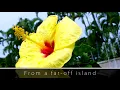 Enya - Flora's Secret [720p HD] [LYRICS]
