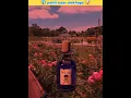 Download Lagu Why do people die as soon as they enter this garden?😱|#shorts