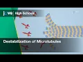 Destabilization of Microtubules Cell Bio Textbooks -