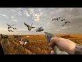 Download Lagu First Opener of the Year! North Dakota Goose Hunt | 7 Day Full Film