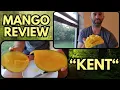Mango Variety Review Kent