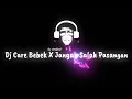 Lagu MENTAHAN - 🎵Dj Care Bebek X Jangan Salah Pasangan {Lirycs}