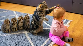 Cutest Baby and Cat Friendship Ever on Internet - Funny Baby Videos | Gods Laugh