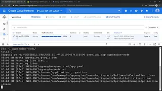 Download a deployed code from Google App Engine using AppCfg