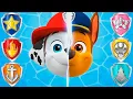 PAW Patrol Marshall s Wrong Face