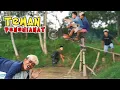 Download Lagu TEMAN PENGHIANAT‼️| Action Comedy Episode 129 | FILM PENDEK Video Lucu Terbaru 2024