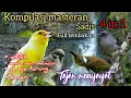 Download Lagu Masteran Kombinasi Roll Tembak Kasar Murai air mancur Cililin Kenari Gereja tarung - Audio Jernih