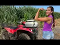 Download Lagu No Farmers Tan Here!