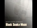 Black Snake Moan