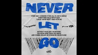 JUNG KOOK 정국 Never Let Go Official Audio  JUNG KOOK 정국 Never Let Go Official Audio