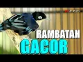 Download Lagu RAMBATAN DORAEMON GACOR PAS BUAT MASTERAN GESEKAN
