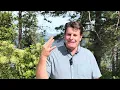 The negatives of Redding California