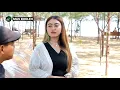 Download Lagu GADIS CANTIK NIKAH DENGAN SUPIRNYA ! 1 JAM KEMUDIAN SUPIR ITU TERNYATA ORANG KAYA RAYA