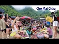 Download Lagu Chợ Mai Châu-du khách trong Nam ngoài Bắc ngỡ ngàng vẻ đẹp hoang sơ và đồ rừng kinh dị