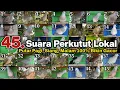 Download Lagu 45 Perkutut lokal gacor Suara \u0026 irama berbeda untuk masteran 100% bikin gacor