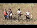 Recording-Breaking 17-Foot Pregnant Python Found in Florida Everglades