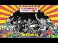 Download Lagu The Flowers LIVE @ Synchronize Fest 2019