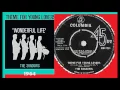 Download Lagu The Shadows - Theme for Young Lovers '45 rpm'